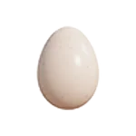 Egg
